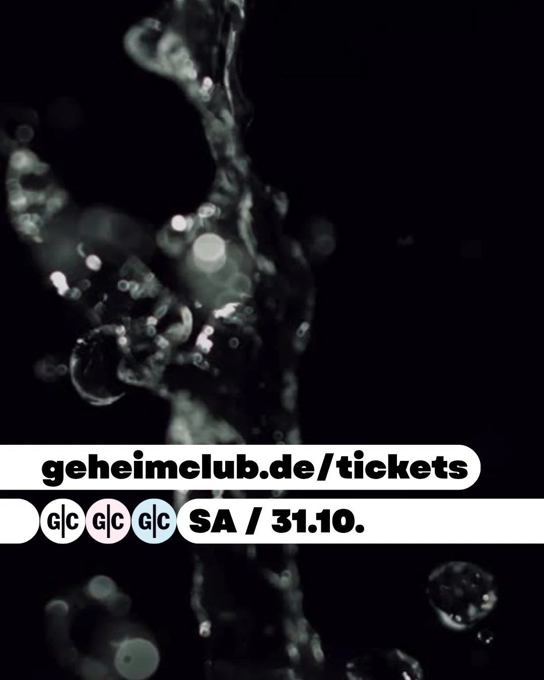 Never Stop w/ Fränk (Live) – Bild 7